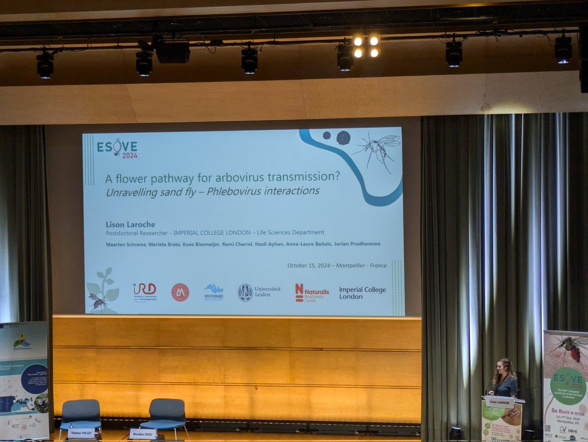Second day at <a href="/EuropeanSOVE/">ESOVE</a> 2024 #LeCorum #Montpellier. I'm deligted to see the interesting studies and the amazing researcher ideas!