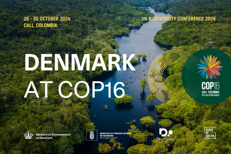 With key players at the table, <a href="/UNBiodiversity/">UN Biodiversity</a> #COP16 is a critical opportunity to accelerate action and shape the future of biodiversity conservation.

Denmark travels to COP16 to showcase tangible solutions and public-private collaboration.

Read more: eu1.hubs.ly/H0d32Zg0