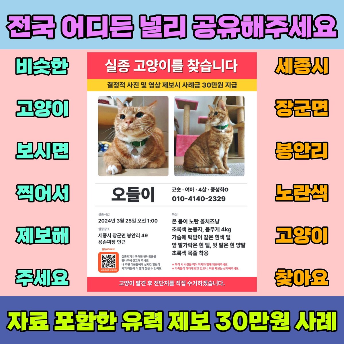 sos_audrey's tweet photo. ❤️세종시
🧡장군면
💛봉안리
💚3/25에
💙실종된
🩵올치즈냥
💜"오들이"
🩷7개월째
🤍찾는 중
#세종시오들이찾아요 #리트윗 #세종시 #세종특별자치시 #세종 #장군면 #봉안리 #고양이 #다정동 #고운동 #종촌동 #어진동 #새롬동 #한솔동 #아름동 #도담동 #나성동 #캣맘 #코숏 #치즈냥 #사지말고입양하세요 https://t.co/jYiSjEaHBH