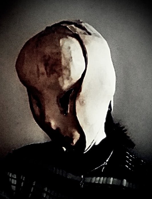 Viperidas 🐍 Vtuber tweet media