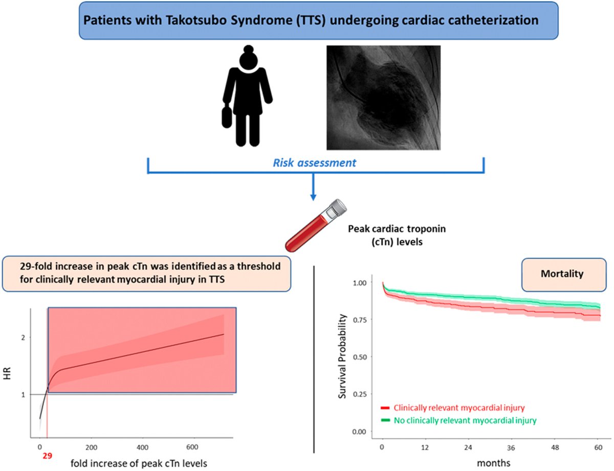 European Journal of Clinical Investigation (@ejci_news) on Twitter photo Don't miss this ORIGINAL ARTICLE
Wiley Online Library
Cardiac troponin elevation and mortality in takotsubosyndrome: New insights from the international takotsuboregistry doi.org/10.1111/eci.14…
✍️Authors: See 2nd Post Below👇
<a href="/BarbaraStahli/">Barbara Stähli</a> <a href="/DavideDiVece/">Davide Di Vece</a> <a href="/TomLuscher/">CardioTomLuscher</a> Don't miss this ORIGINAL ARTICLE
Wiley Online Library
Cardiac troponin elevation and mortality in takotsubosyndrome: New insights from the international takotsuboregistry doi.org/10.1111/eci.14…
✍️Authors: See 2nd Post Below👇
<a href="/BarbaraStahli/">Barbara Stähli</a> <a href="/DavideDiVece/">Davide Di Vece</a> <a href="/TomLuscher/">CardioTomLuscher</a>