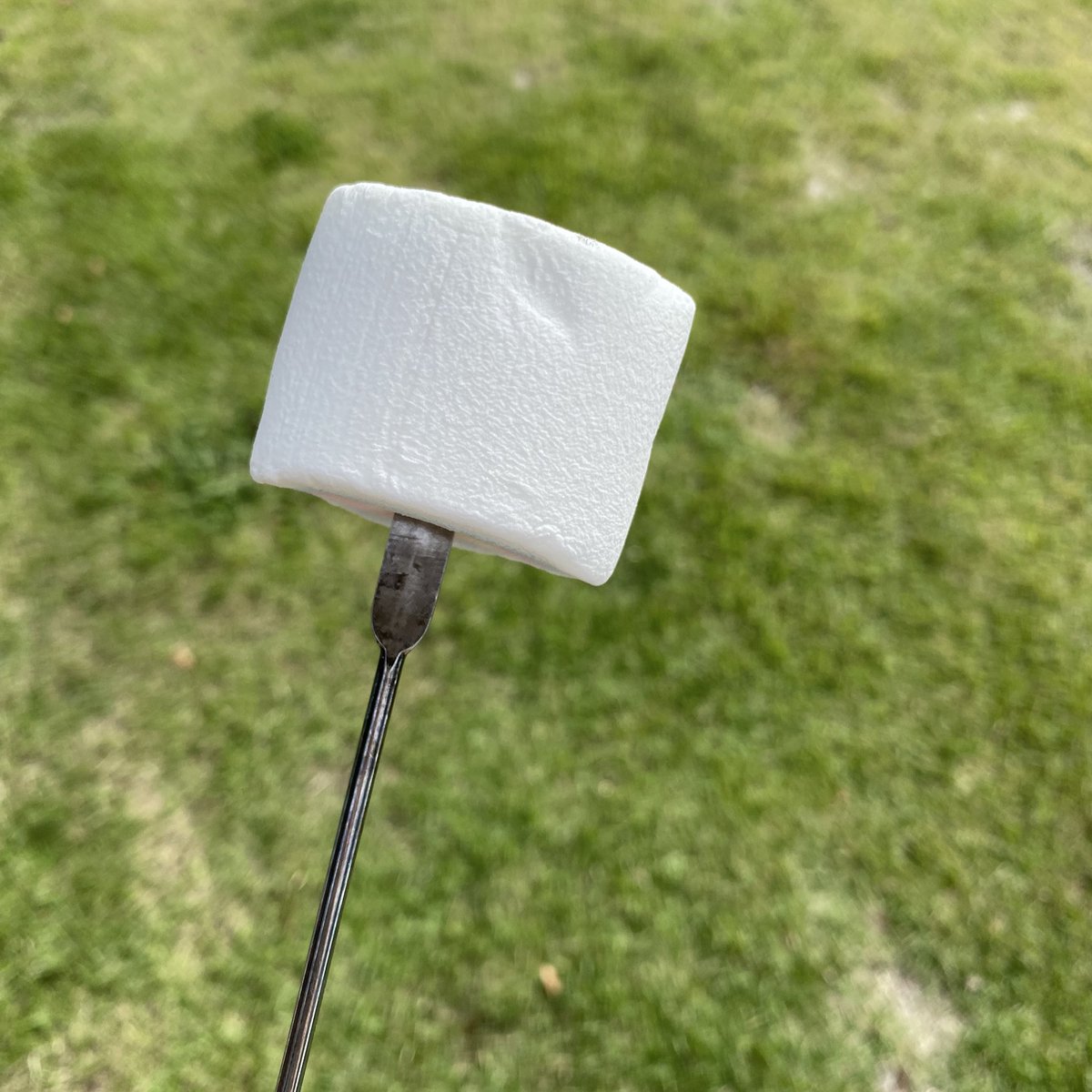 p_ma_ru's tweet image. マシュマロ焼く〜っっ✨