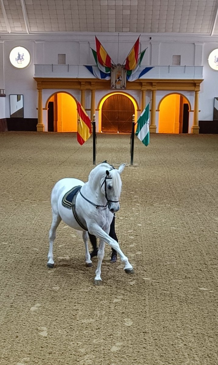 Sebastián Molinillo (@smolinillo) on Twitter photo Siempre es un placer volver a la <a href="/RealEscuela/">Real Escuela</a> Andaluza del Arte #Ecuestre en #Jerez. Una de las joyas de nuestra tierra. ¡Visitar y vivir #Andalucia! 🫶 Siempre es un placer volver a la <a href="/RealEscuela/">Real Escuela</a> Andaluza del Arte #Ecuestre en #Jerez. Una de las joyas de nuestra tierra. ¡Visitar y vivir #Andalucia! 🫶