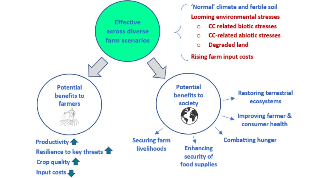 Jules Siedenburg 🌍 (@julessiedenburg) on Twitter photo Our new paper finds microalgae possess great technological potential to support crop production. See "Microalgae-Based Crop Support Technologies Show Multifaceted Promise Well-Suited to Looming Threats", mdpi.com/2076-3298/11/1…. #foodsecurity #WorldFoodDay2024 #SDGs <a href="/Environ_MDPI/">Environments MDPI</a> Our new paper finds microalgae possess great technological potential to support crop production. See "Microalgae-Based Crop Support Technologies Show Multifaceted Promise Well-Suited to Looming Threats", mdpi.com/2076-3298/11/1…. #foodsecurity #WorldFoodDay2024 #SDGs <a href="/Environ_MDPI/">Environments MDPI</a>