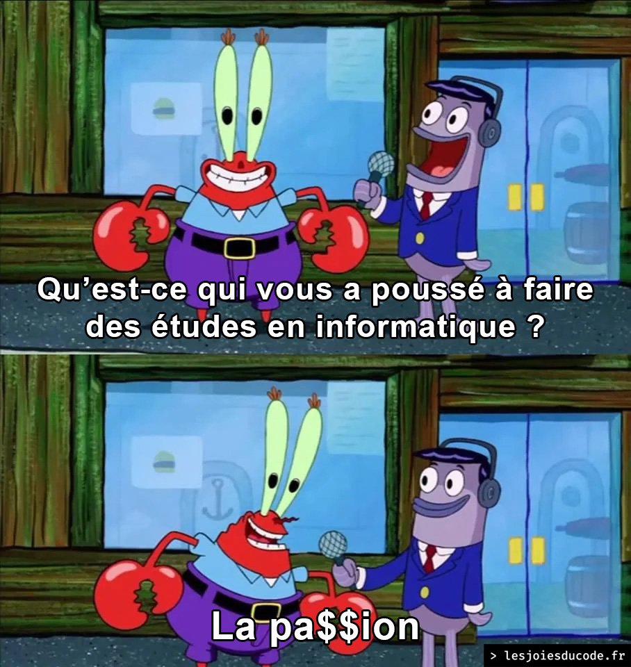 C'est important, la pa$$ion 👀 lesjoiesducode.fr/mister-krabs-p…