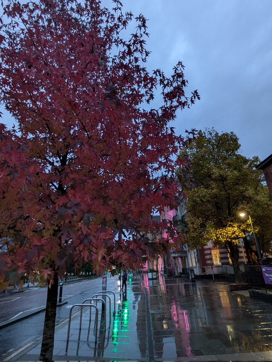 Autumn has arrived on campus <a href="/OfficialUoM/">The University of Manchester</a>
