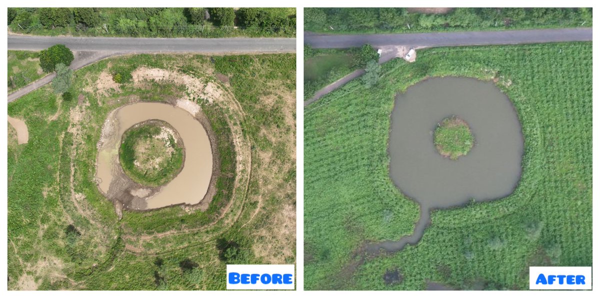 “Restored a dry lake in Gujarat”

This Our 151sr Lake Restoration Project out of 229 projects that we've completed so far 💫 

This lake is located in Tintoda village, Gandhinagar, Gujarat. The lake was earlier barren and lacked any structure at all; we desilted the lake, created