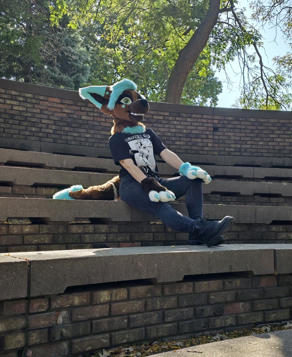 sakuraskreet's tweet photo. I can't wait to see the leaves turn into pretty new colors.

Anyone have there go to cozy fits picked out? https://t.co/NNF8KrwifX