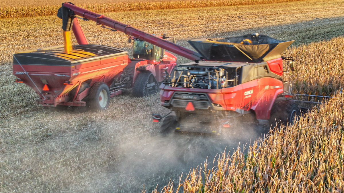 Chad E. Colby tweet media