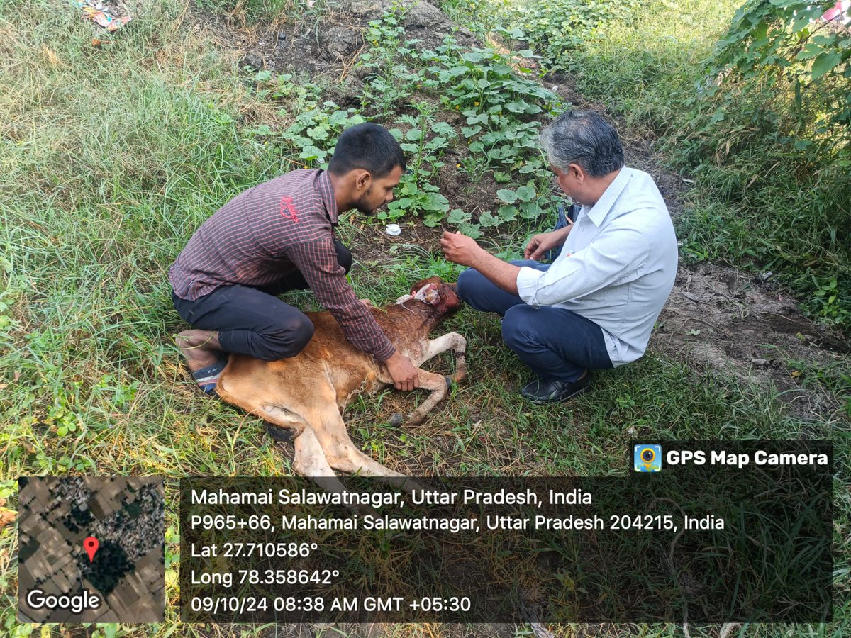 BalajiTraders20's tweet photo. जिला हाथरस @HathrasCvo79263 
बहुत-बहुत धन्यवाद पशु पालक विभाग का कार्य सराहनीय है 

@myogiadityanath @dm_hathras @CDOHathras @RAHUL128568 @Bittu @amanvegan1991 @aryan78102 https://t.co/uiMIjEIVLa