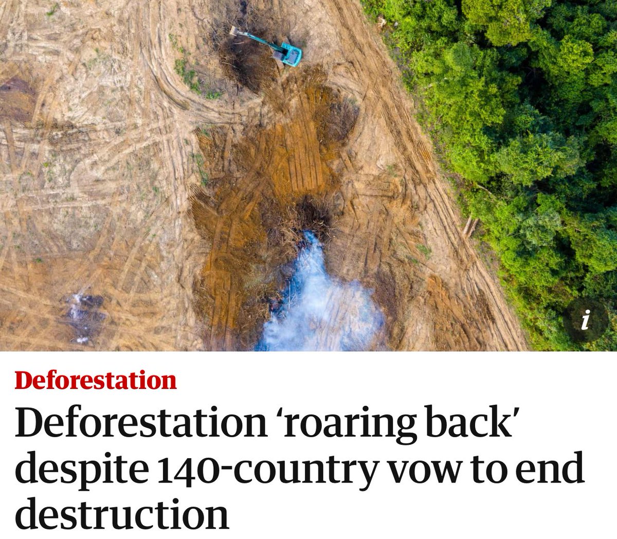 Aida Greenbury tweet media