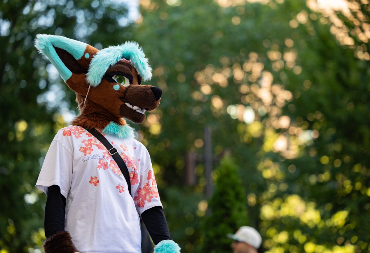 sakuraskreet's tweet photo. OK last one tonight.

This is such a sick shot! Thanks for catching my good side ✨️

Photo by StrawberryLugia
#furrymigration2024 https://t.co/BxLN2f0W1z
