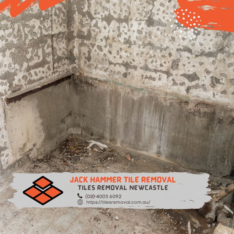 RemovalTiles's tweet photo. Our expert team is dedicated to providing high-quality services that restore your space to its former glory.

Tiles Removal Newcastle
3/82 Selwyn Street Merewether NSW 2291 https://t.co/DkOqxzcmEx