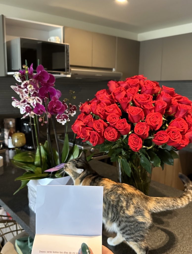 Lailanyysota's tweet image. que vivan los hombres que dan flores sin ser un día especial