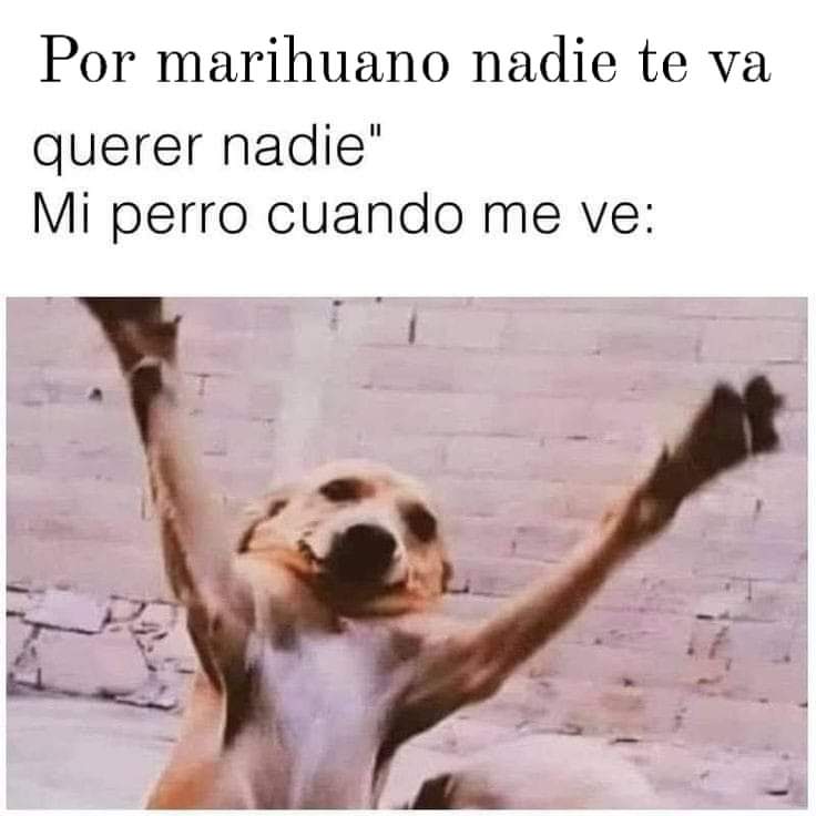 CharlyGrown's tweet image. 