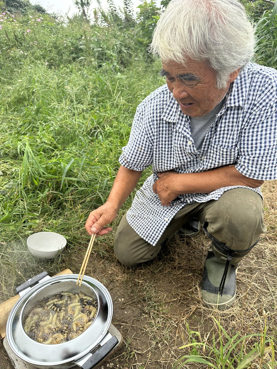 豊永裕美.食材探検家 (@harapeko64chan) / Posts and Replies / X