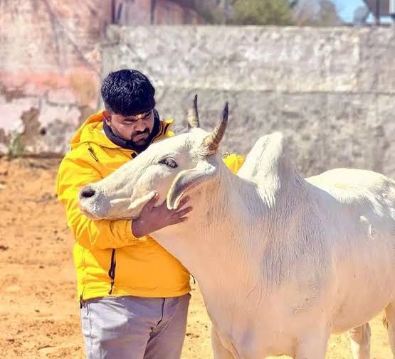 ajayyadav7422's tweet image. जब से चनाव के नतीजे आये है, तब से ही सुनने में यह आ रहा है कि मोनू मानेसर जल्दी ही जेल से बाहर आ रहे है !!

#ISupportMonuManesar 
सभी सनातनी भाई ज़्यादा से ज़्यादा सपोर्ट करे ।