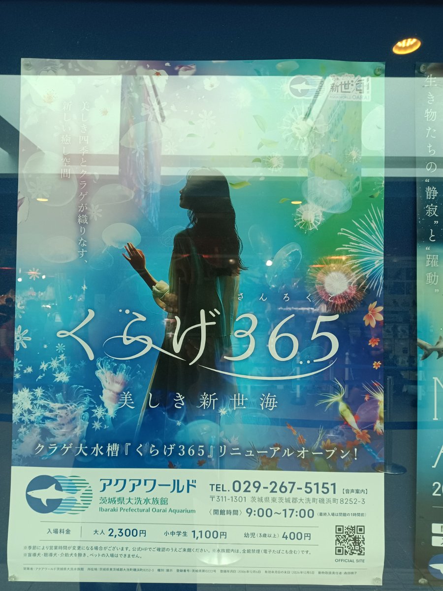 Mory_Osaka_Jpn's tweet photo. 〜大阪からアニメ聖地巡礼旅2024下半期パートV〜
　8日目の今日は、
#JELEE🪼×#アクアワールド茨城県大洗水族館🪼
　🪼コラボ🪼〜㊗️〜🪼
ということで、1ヶ月以上早く前ノリしてしまってますが、ひと足早く、水族館偵察🪼
　まだ告知用ポスターとかは見当たりませんでした。。。🪼

#ヨルクラ🌃🪼
#ヨルクライフ🪼3Dモデルの花音ちゃんと📸🪼
#JELEE応援🪼公式X🪼〜目指せフォロワー10万人〜🪼
#夜のクラゲは泳げない 🪼㊗️再放送㊗️🪼

動画は後ほどアップしまーす🤣