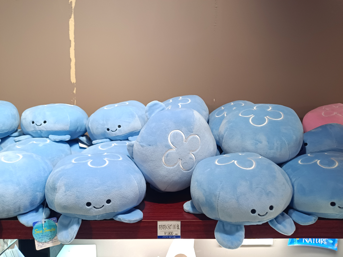 Mory_Osaka_Jpn's tweet photo. 〜大阪からアニメ聖地巡礼旅2024下半期パートV〜
　8日目の今日は、
#JELEE🪼×#アクアワールド茨城県大洗水族館🪼
　🪼コラボ🪼〜㊗️〜🪼
ということで、1ヶ月以上早く前ノリしてしまってますが、ひと足早く、水族館偵察🪼
　まだ告知用ポスターとかは見当たりませんでした。。。🪼

#ヨルクラ🌃🪼
#ヨルクライフ🪼3Dモデルの花音ちゃんと📸🪼
#JELEE応援🪼公式X🪼〜目指せフォロワー10万人〜🪼
#夜のクラゲは泳げない 🪼㊗️再放送㊗️🪼

動画は後ほどアップしまーす🤣