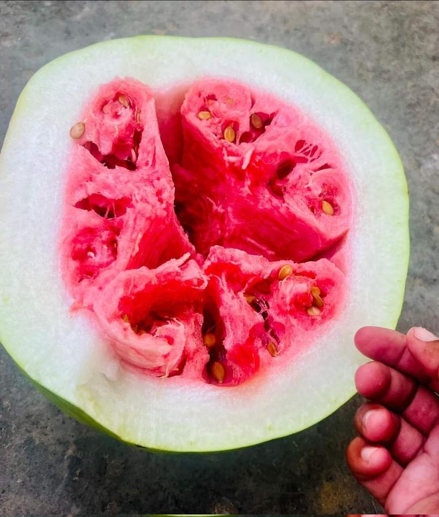 सुबह का झारा कर ल्यो सगळा साथी👌😊
#खेत #किसानी