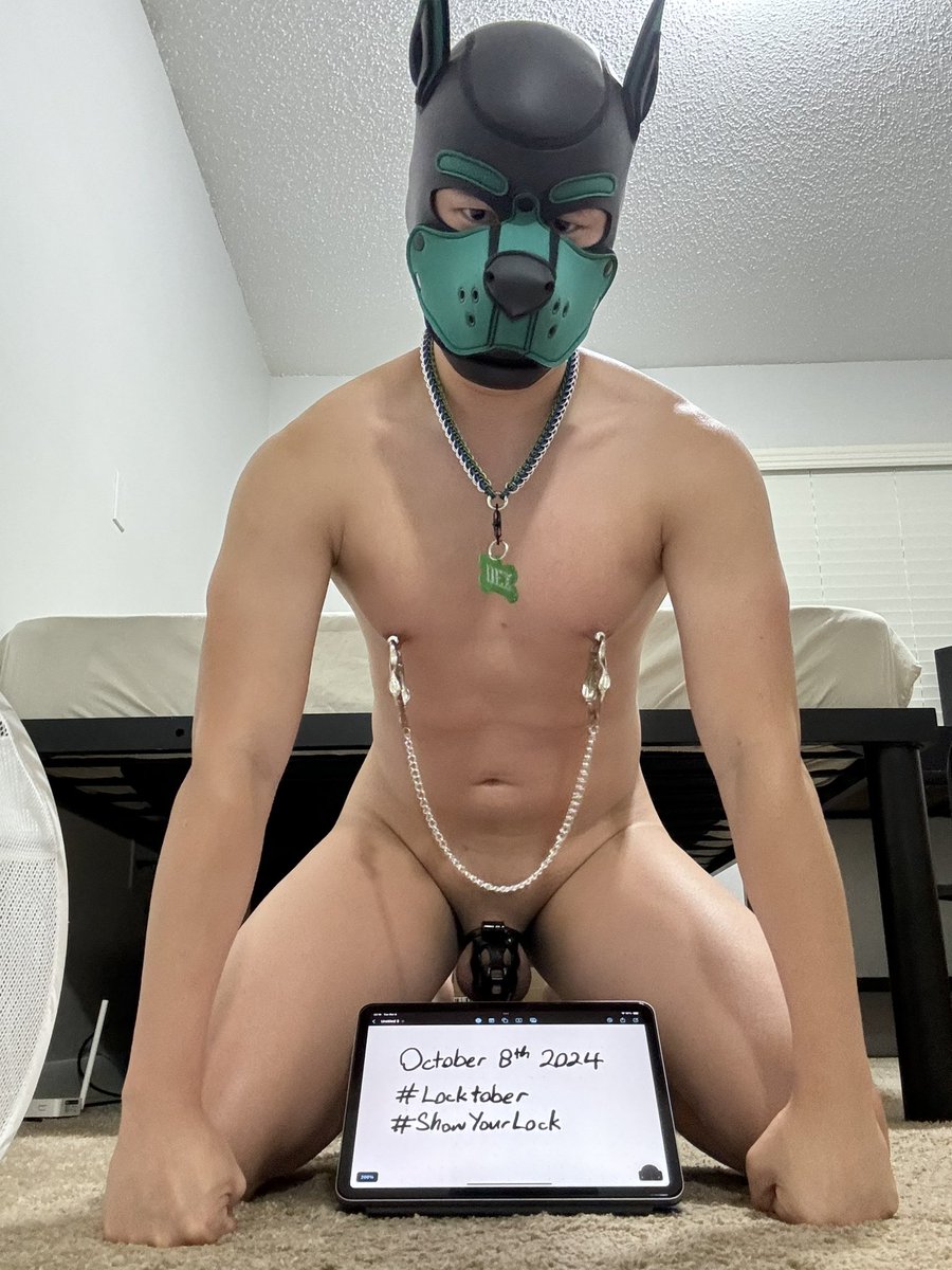 #Locktober Day 8
Featuring my new collar 
<a href="/MrSLeather/">Mr-S-Leather</a> 
#ShowYourLock