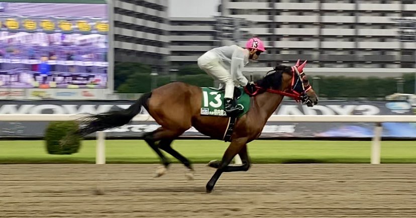 snFW111's tweet image. 谷内貫太騎手
カツマルぬいをありがとうございます✨🙏

ホント失礼のないように距離感（親戚のオバチャン化）には気をつけて
応援していきたいと思います😆

来週は大井開催‼️
YJSは10月17日✨

がんばれ貫太‼️‼️