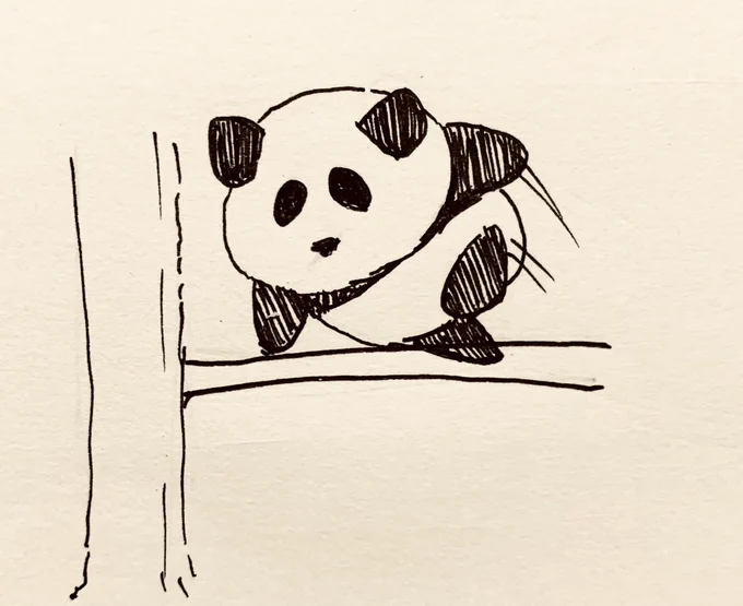 こうゆう事ですね🐼💨 