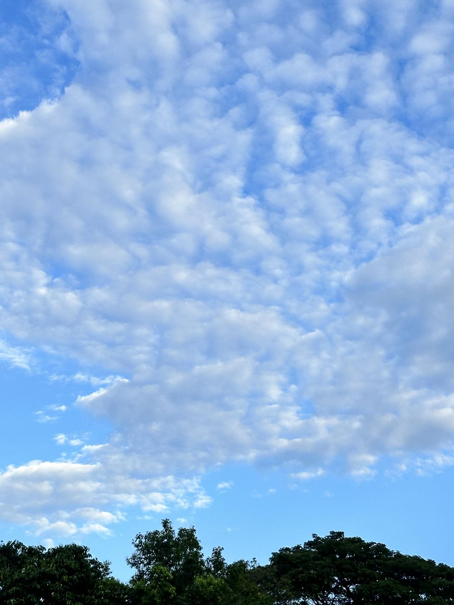 Baba086's tweet image. Exercise in the morning for health.🚶‍♀️🚶‍♀️