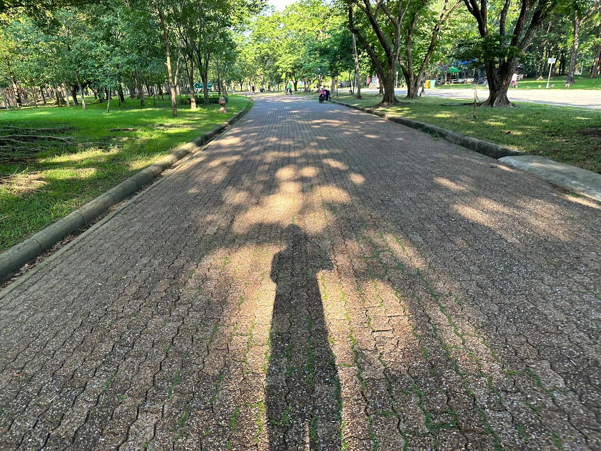 Baba086's tweet image. Exercise in the morning for health.🚶‍♀️🚶‍♀️