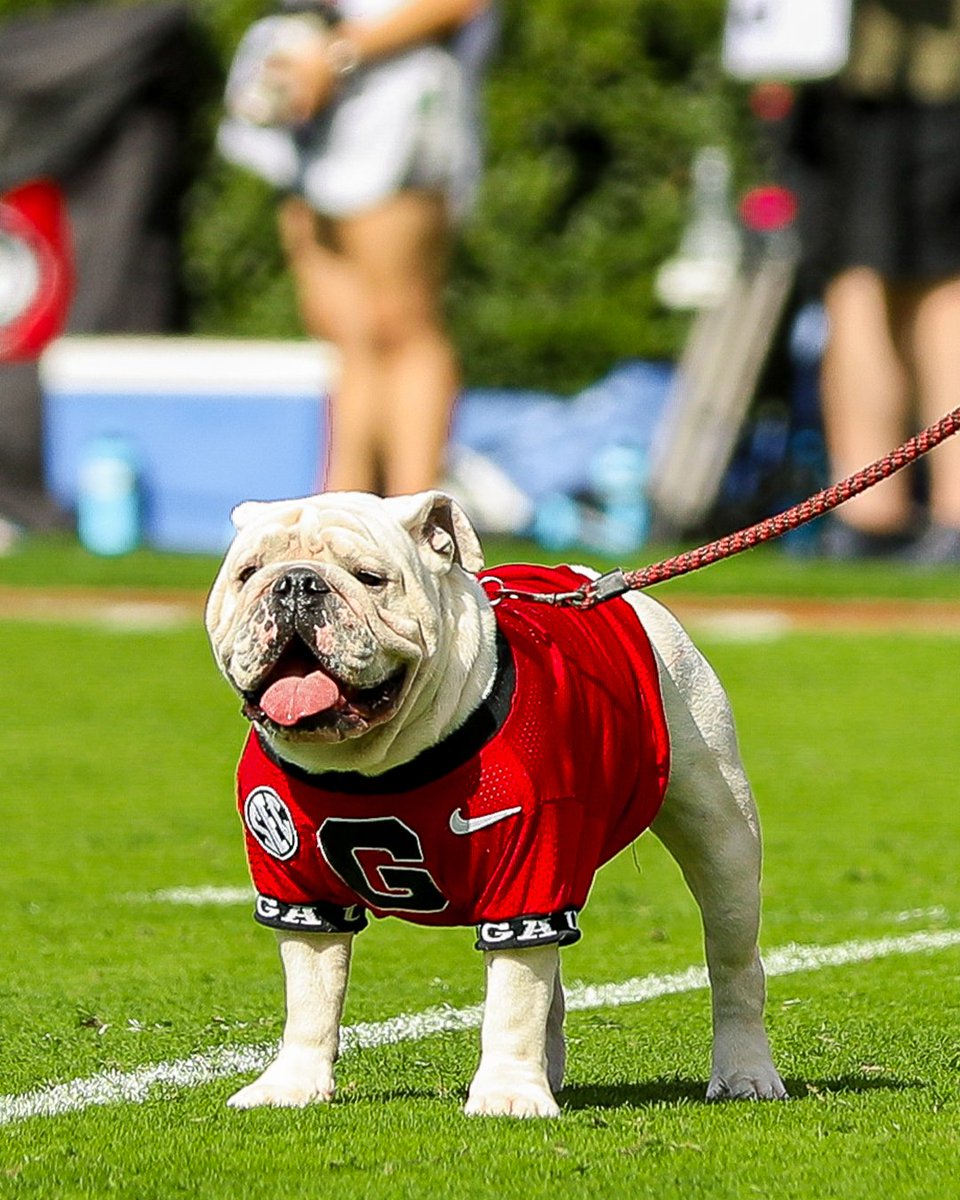 The absolute, undisputed best boy.

#GoDawgs