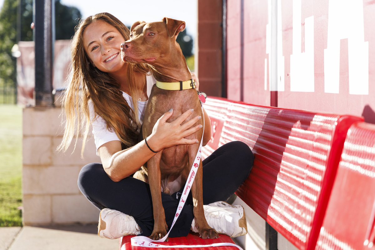 Pups at the Pitch is next Sunday! 

The first 250 dogs will get an Alabama dog leash 🐶

Upon arrival, owners MUST present proof of vaccinations (DHPP, Rabies, Bordetella) valid through October 13 and sign a waiver

🔗rolltide.com/sports/2022/9/…

#RollTide