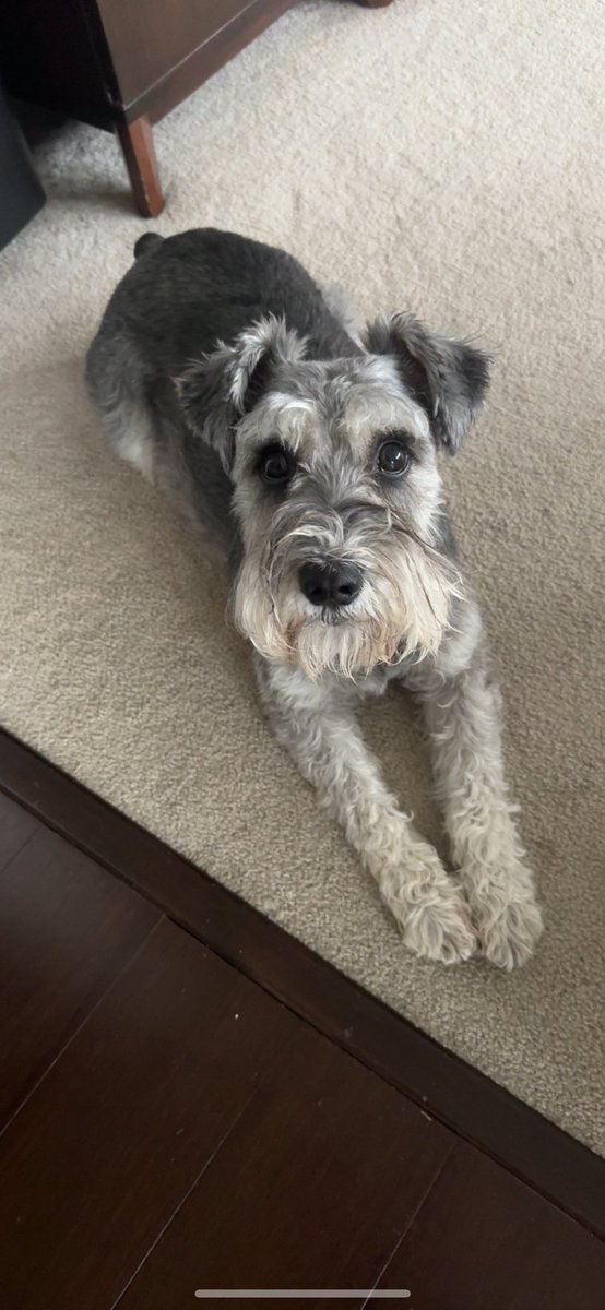 benjamin tweet media