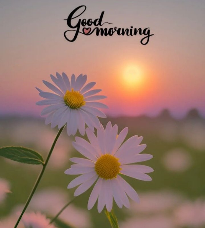 बहुत अनमोल वचन है ये कि, 🌇🌿
किसी को कभी दुख न पहुंचाना।, 🌿🌿

🙏🏻🌹सुप्रभात🌹🙏🏻
#GoodMorningXFriends #GoodmorningtTwitterWorld