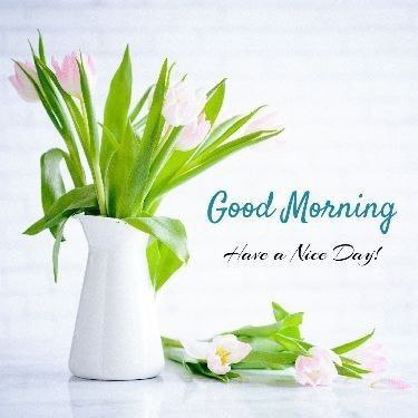 Good morning X mate's