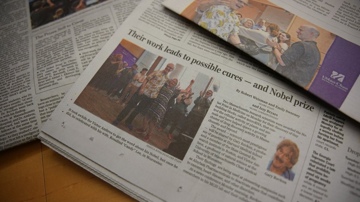 UMassChan's tweet photo. This morning was like waking up to the news all over again! Read about @UMassChan's latest Nobel Laureate, Victor R. Ambros, PhD, in the @nytimes (https://t.co/qWv6OqEAnp), @telegramdotcom (https://t.co/kzp7YmiV0H) &amp; @BostonGlobe (https://t.co/s2lrgWGg9t). #NobelPrize @ProgMolMed https://t.co/l2UKZ6fACn