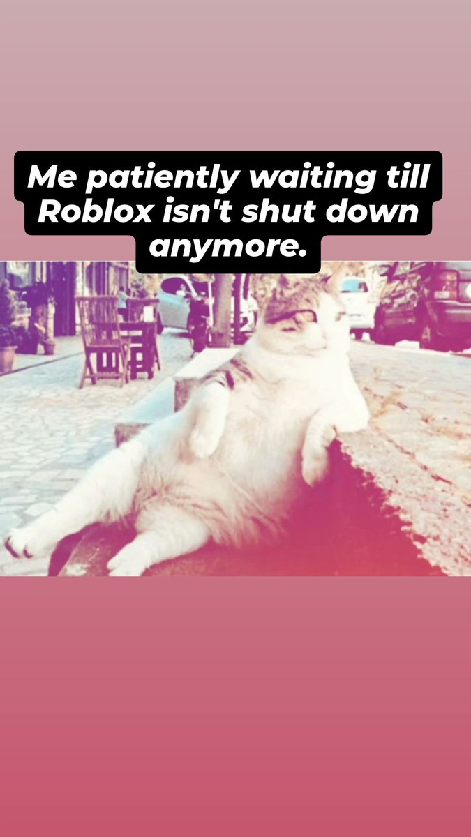 School_Fightz's tweet image. #roblox #robloxshutdown