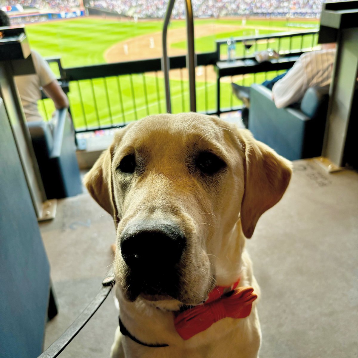 First postseason game, first postseason win!! 🥳 #MetsWin