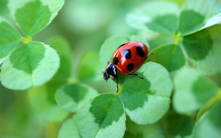 今日を生きるために☆(旧umi) tweet media