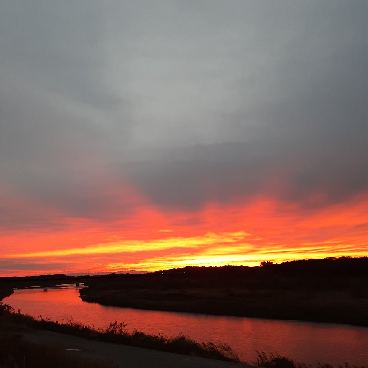 今日を生きるために☆(旧umi) tweet media