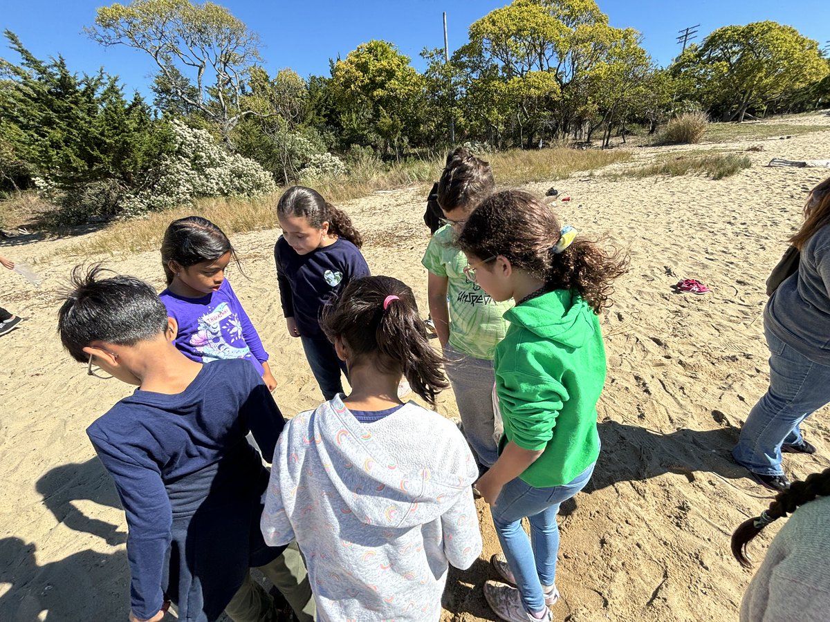 Erica Azar tweet media