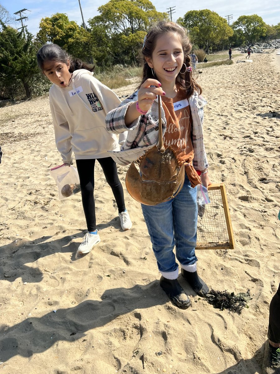 Erica Azar tweet media