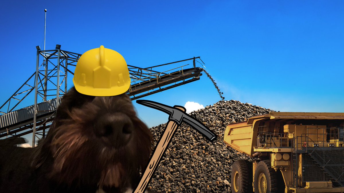 adumbbee's tweet photo. SEND A PICTURE, ANY PICTURE OF YOUR PET, AND FOR THE LOW PRICE OF FREE I WILL SEND THEM TO THE MINES https://t.co/ox9HoAc9CM