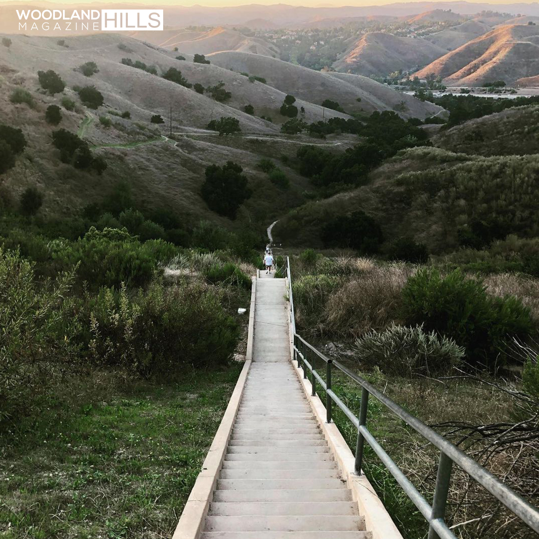 WH Magazine tweet media