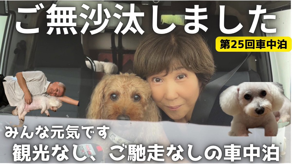 hihdeji's tweet photo. YouTube動画を公開しました。お時間あるときにご覧いただければ嬉しいです。

https://t.co/wGwszcra4r https://t.co/dDGBfW8pgm