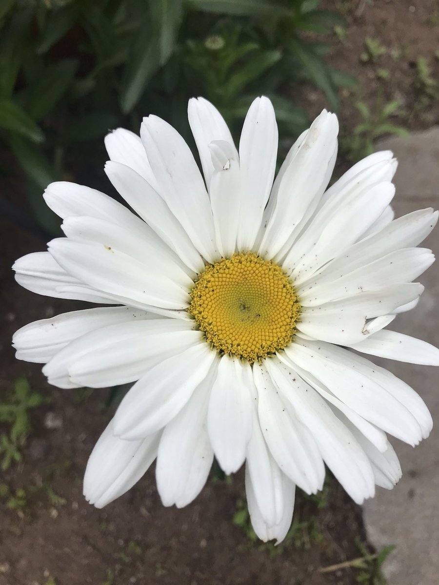 RachelLyn_Decor's tweet photo. @nytimes L🌼VE you grandpa🧡🍃 https://t.co/6H5bAtSNiQ