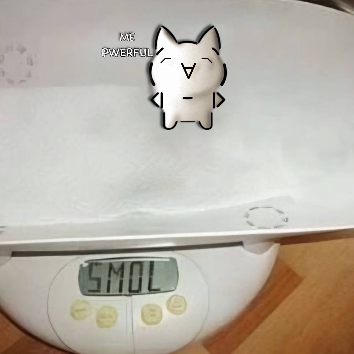 Mona cafe（　´∀｀） tweet media