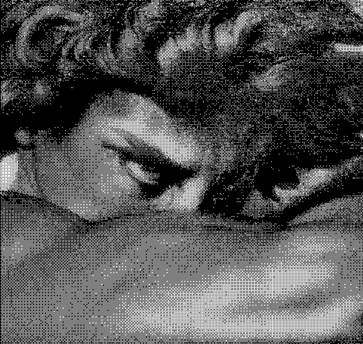 Polygon1993's tweet photo. https://t.co/w8VlPL9tBx
