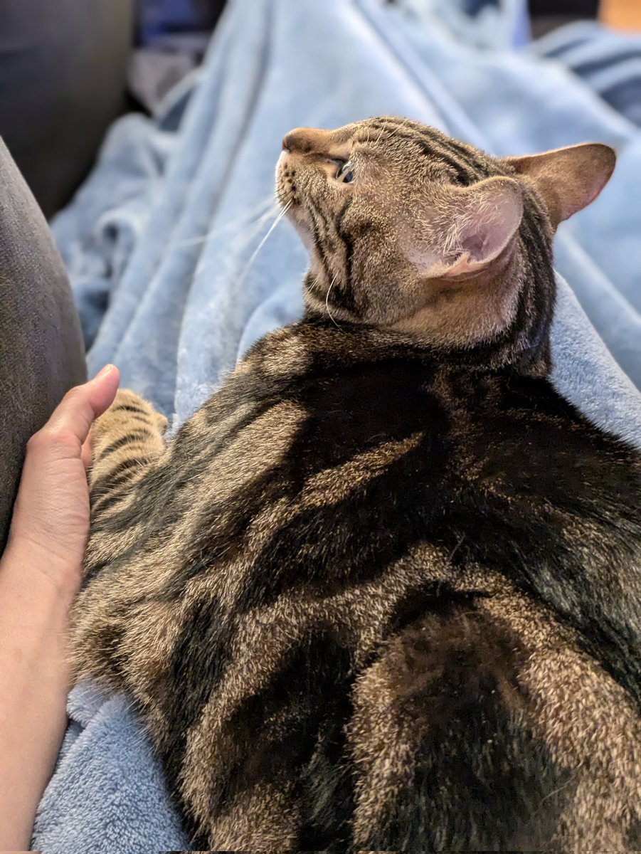 LBHackEmUp No Longer Active (@lbhackemup) on Twitter photo It's been a really stressful day for the kids but everyone is safe and relaxing now. It's been a really stressful day for the kids but everyone is safe and relaxing now.