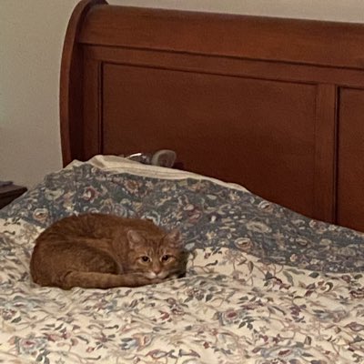 SidneyMostSweet's tweet photo. #NewProfilePic https://t.co/MgwTORzOrQ