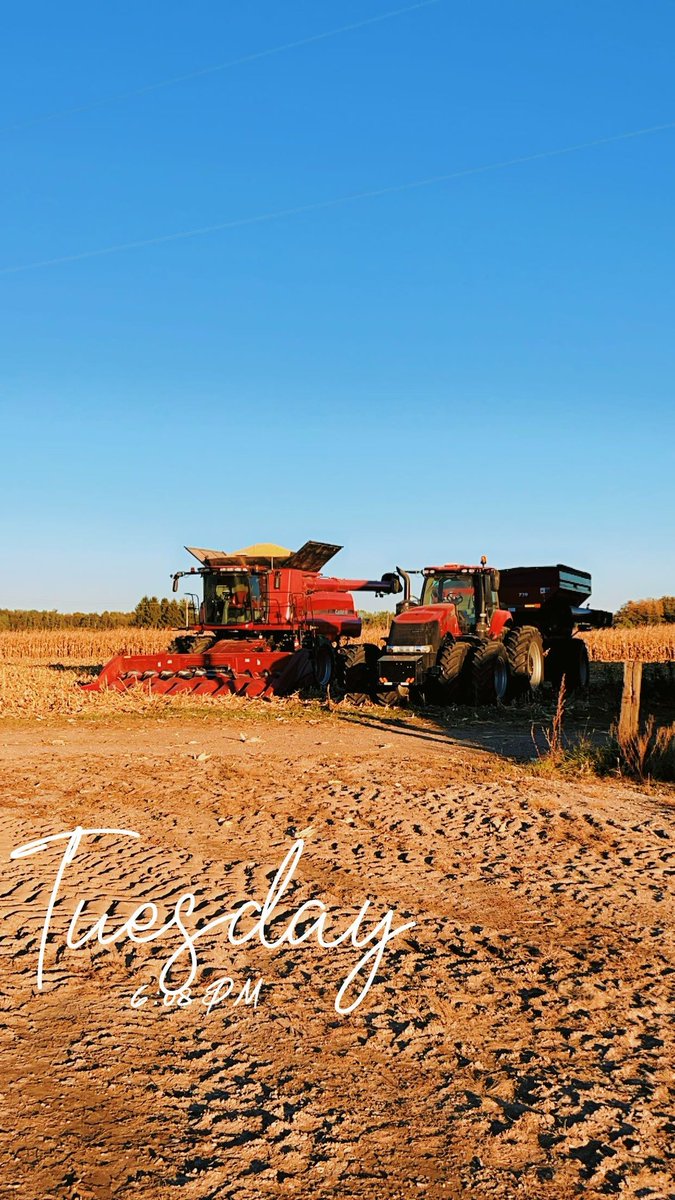 van_beets's tweet image. Day one 1️⃣  of corn 2024